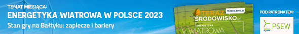 Temat Miesiąca: Energetyka wiatrowa w Polsce 2023