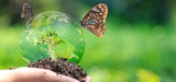 EEA: bioróżnorodność w Europie zagrożona mimo wysiłków, by ją chronić