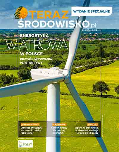 Energetyka wiatrowa w Polsce 2021